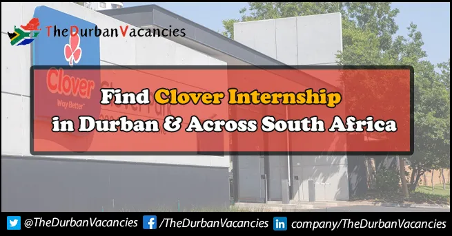 Clover Internships